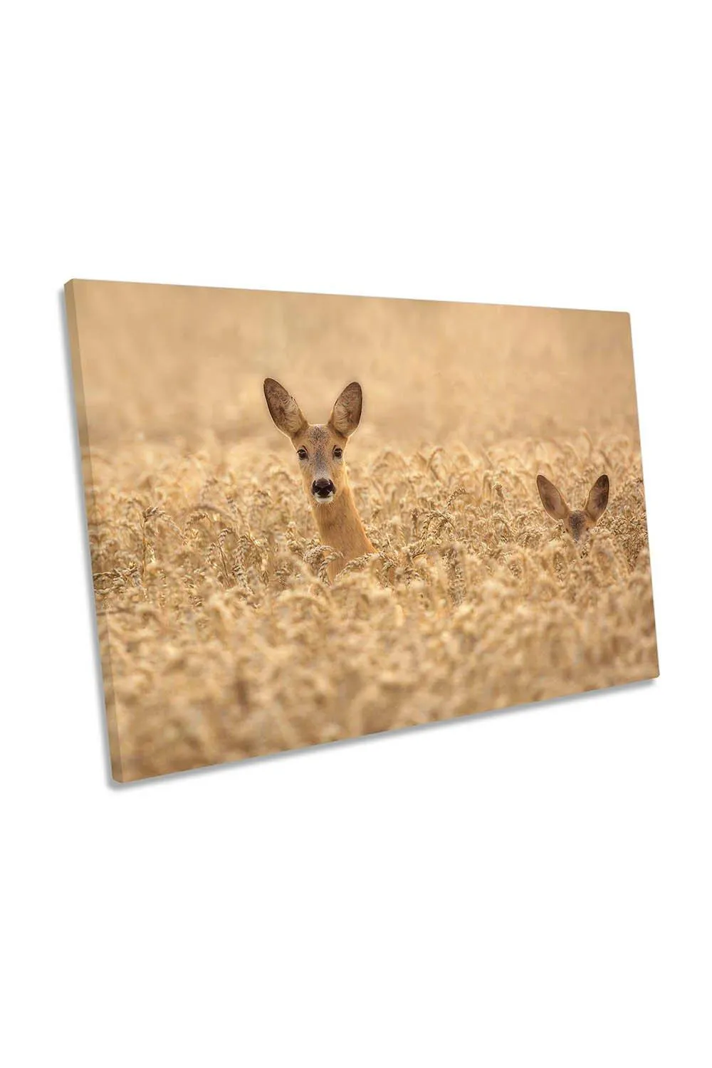 CanvasGeeks Mother with Child Deer Wildlife Canvas Wall Art Picture Print|Size: W18 inch x H12 inch x D20mm|beige