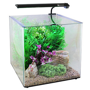 Aqua One Aqua Aspire Glass Aquarium 55 Litre