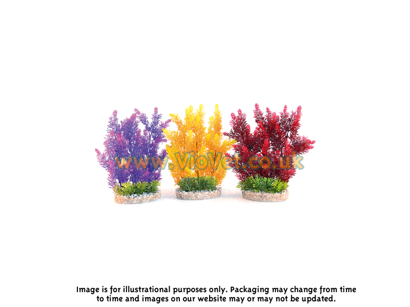 Sydeco Coloured Aquaplant Colour Aquarium Plant - Hedge - 24cm