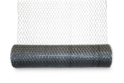 Blooma 25X25mm Galvanised Steel Triple Torsion Mesh, (L)10M (H)1M