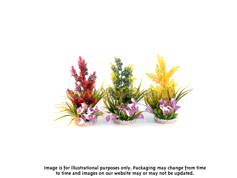 Sydeco Coloured Paradise Height Aquarium Plant - 28cm