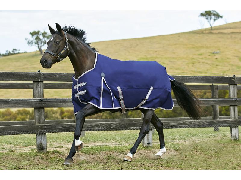 Weatherbeeta Turnout Rugs | Weatherbeeta ComFiTec Essential Mediumweight 220g Standard Turnout Rug Colour Navy Size 5'3