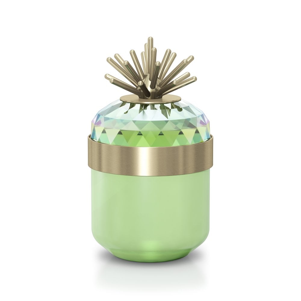 Swarovski Jungle Beats Decorative Box AndokiLight Green 5619216
