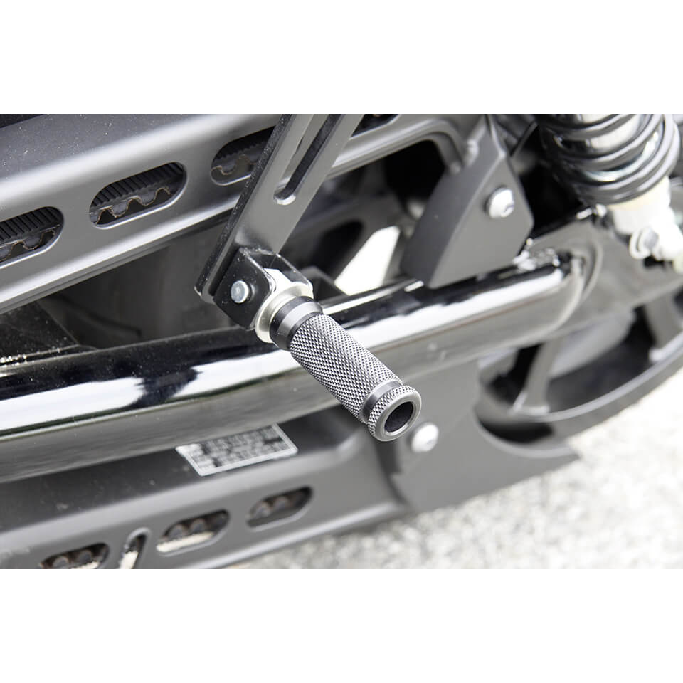 LSL Passenger rest holder foldable BMW R 100 R, black, black