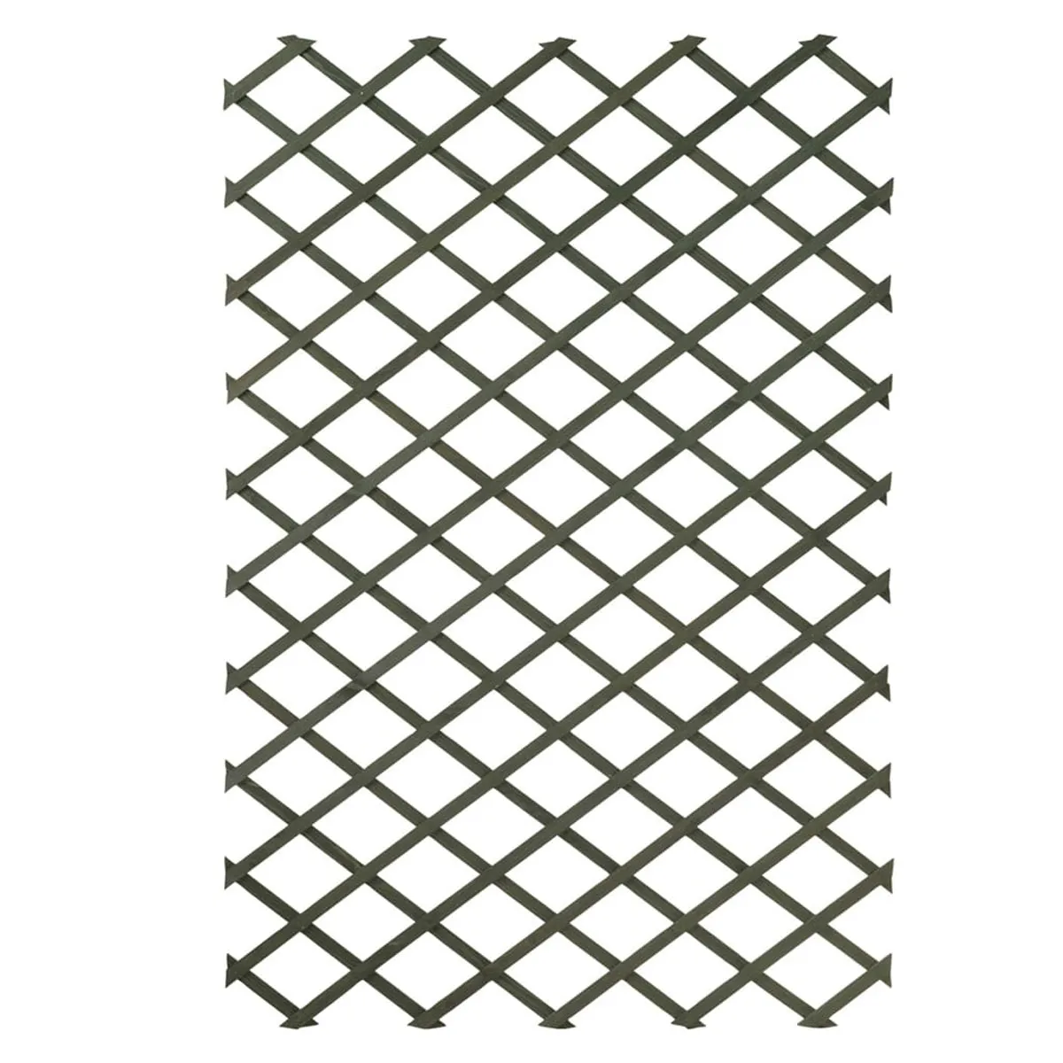 Nature 2 pcs Garden Trellises 100x200 cm Wood Green