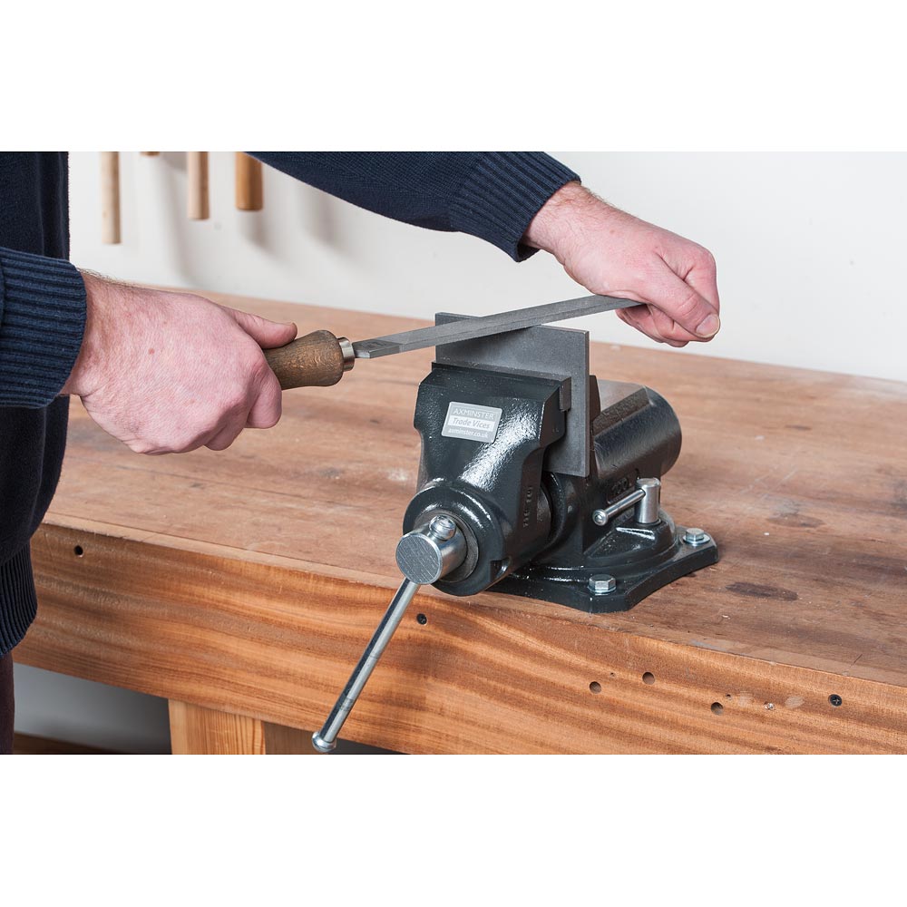 Axminster Trade Vices Axminster Professional Engineers Vice 150 x 125mm