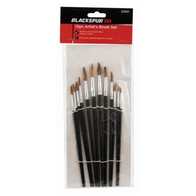 12 Pc Artist'S Brush Set