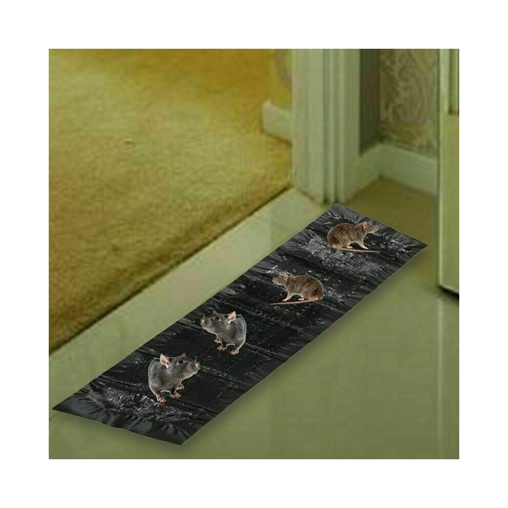 Unbranded Mice Traps Mouse Rat Trap Bug Terminator Large Size Super Rat Snake Bug Trap