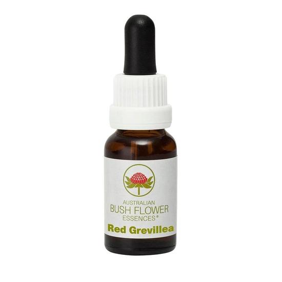 Australian Bush Red Grevillea (Stock Bottle) 15ml