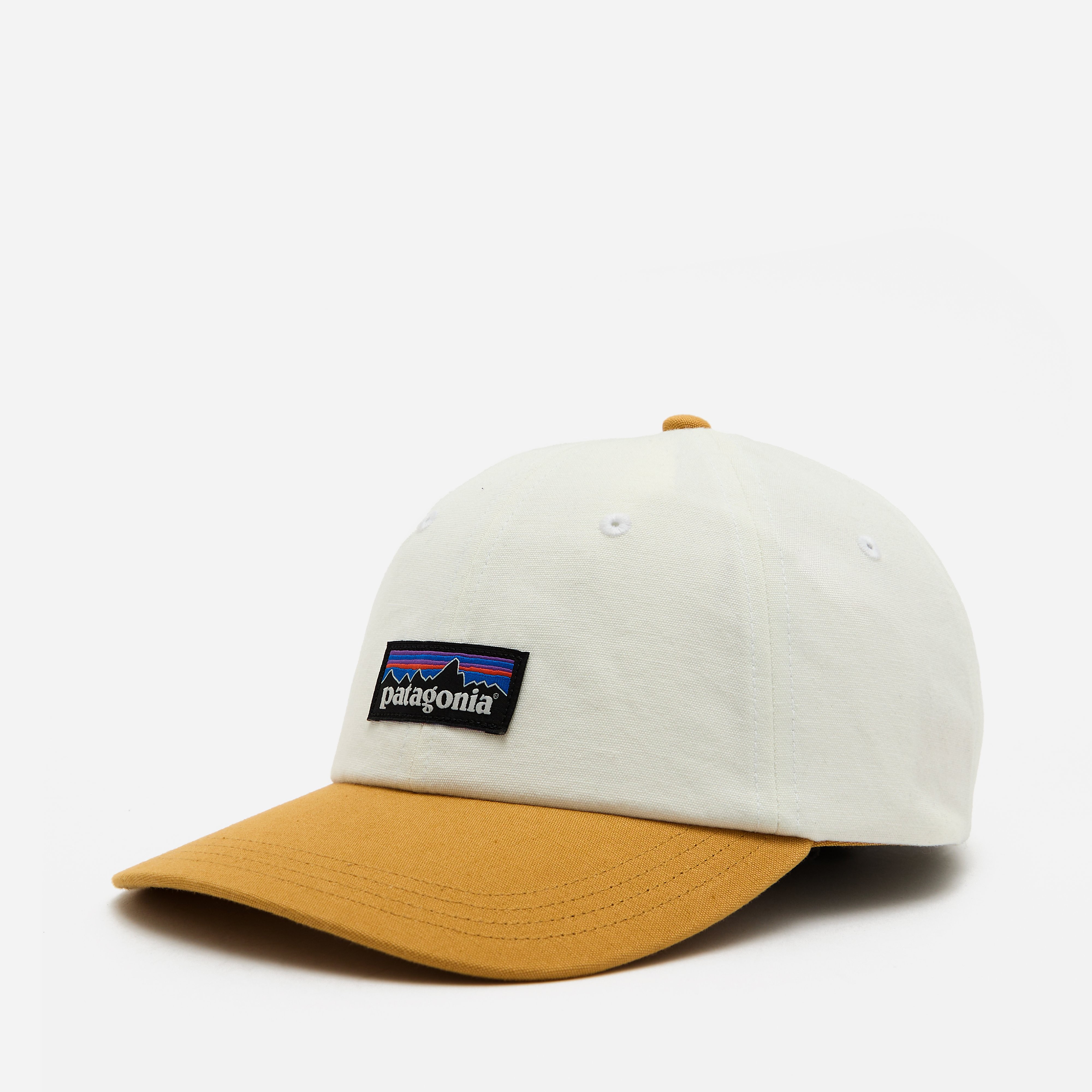 Patagonia P-6 Trad Cap