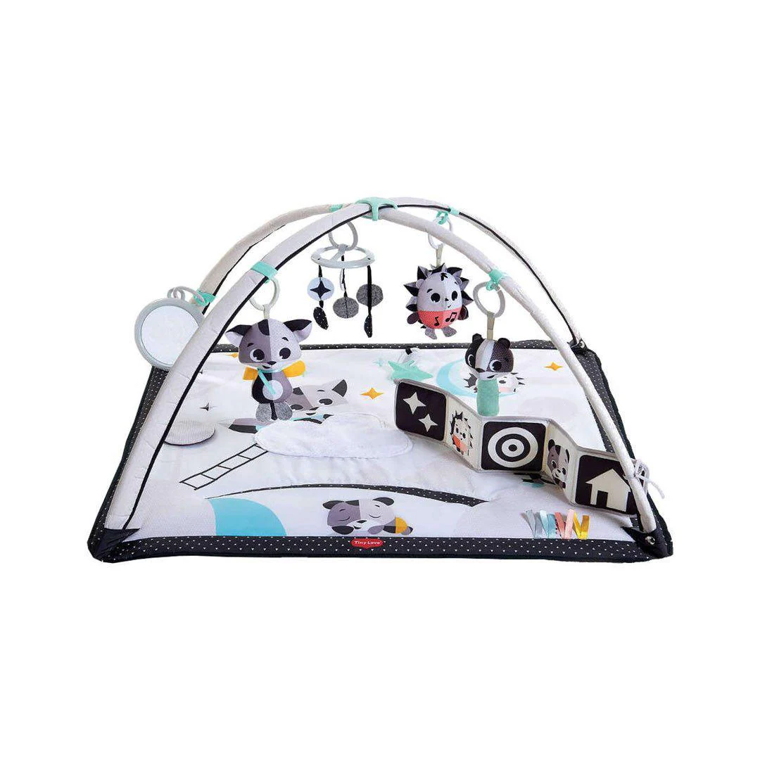 Tiny Love Magical Tales Gymini 2-in-1 Playmat