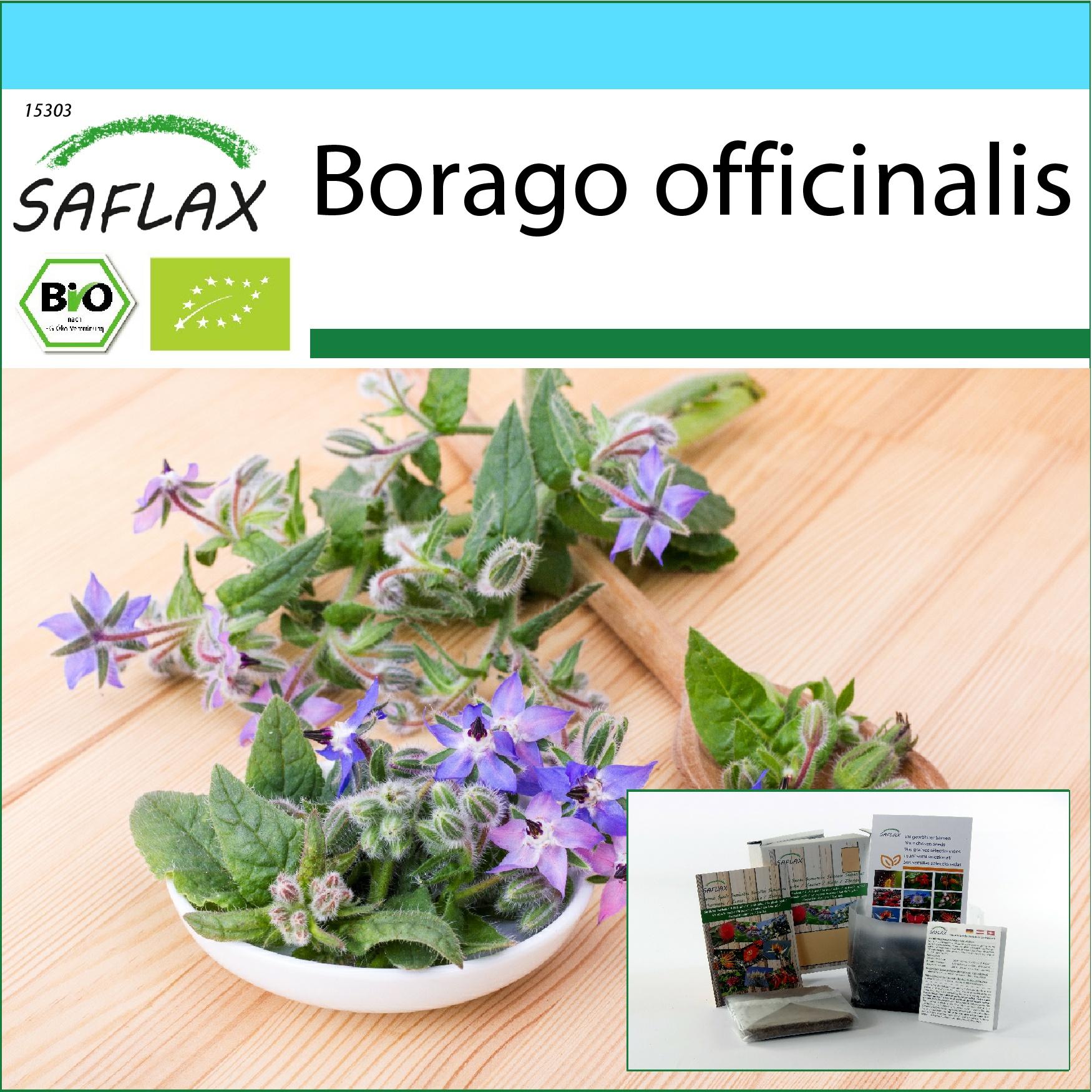 Saflax - Gift Set - Organic - Borage - 40 seeds - With gift box, card, label and potting substrate - Borago officinalis
