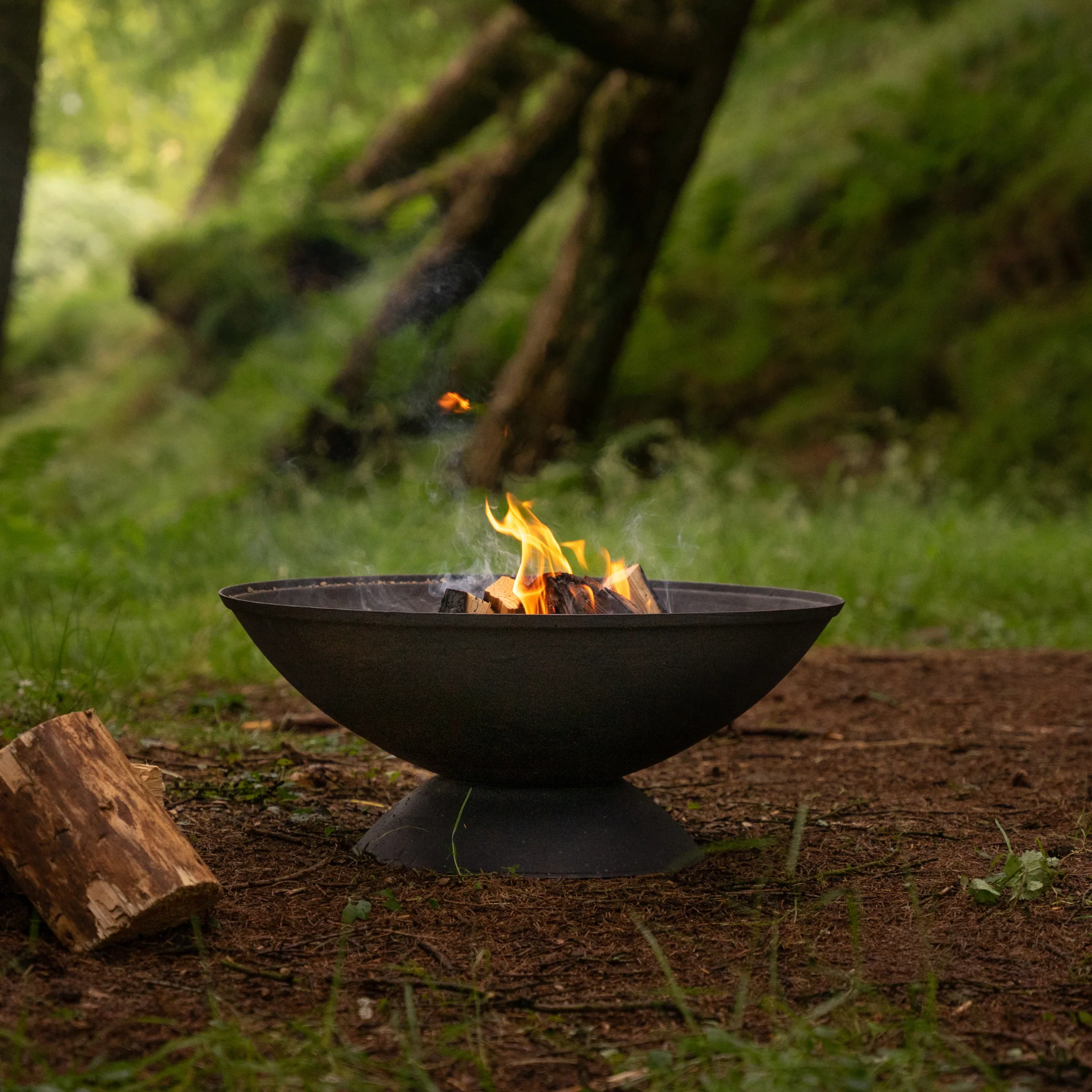 Tobago 23cm H x 56cm W Cast Iron Wood Burning Outdoor Fire Pit black,brown,gray