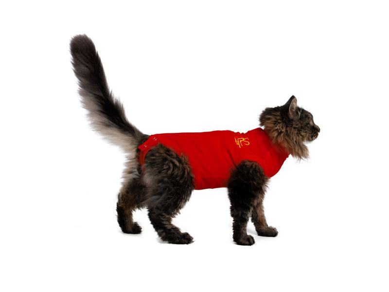 MPS - Medical Pet Shirt MPS Medical Pet Shirt for Cats - Extra Extra Small (33-42cm)