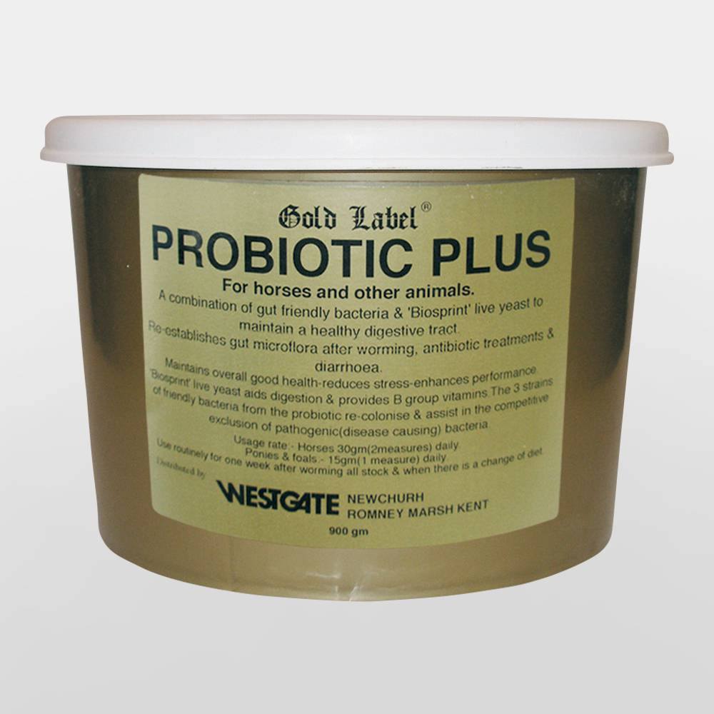 Gold Label Supplements | Gold Label Probiotic Plus