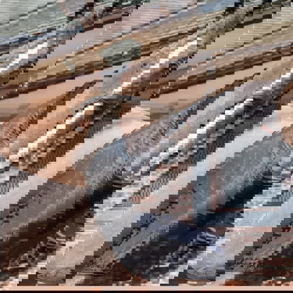 LeMieux Stretch Hoods | LeMieux Friction Free Anti-rub Bib Size Full (L)