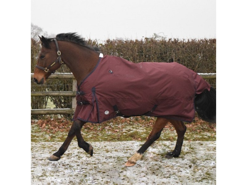 JHL Turnout Rugs | JHL Essential Lightweight 0g Standard Turnout Rug Colour Burgundy Size 7' 0"