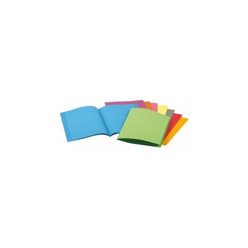 Rainex Exacompta 24 x 32 cm Pastel Square Cut Folders 210 g - Green, Pack of 100