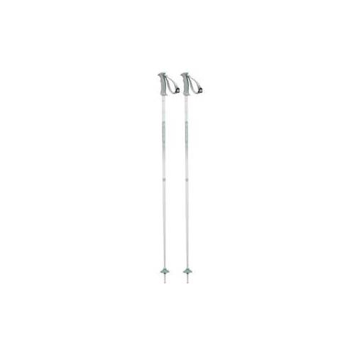 Salomon Northpole Lady Ski Poles | 110cm | Grey