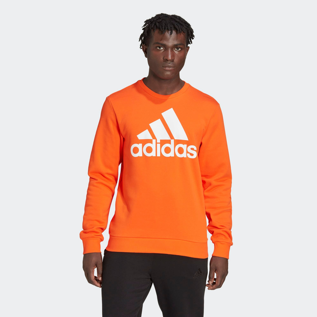 Adidas  Essentials Big Logo - Men Sweatshirts