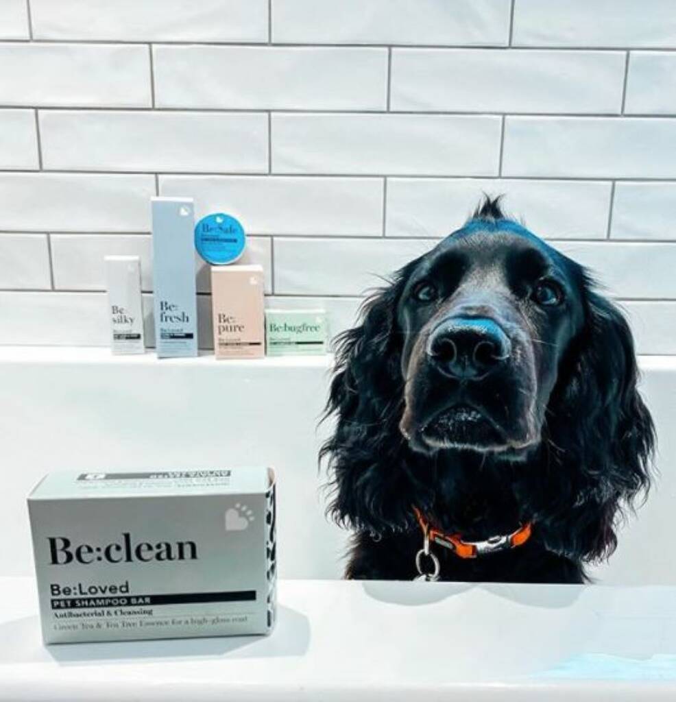 Be:Clean Pet Shampoo Bar