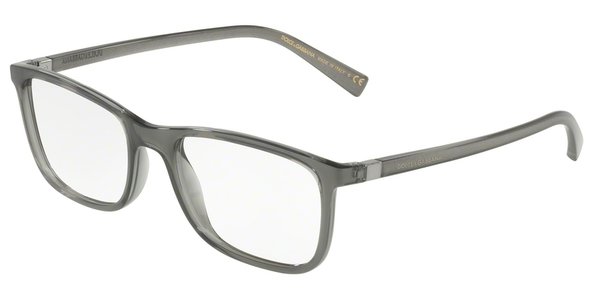 Dolce&Gabbana DG5027 3160 Transparent Grey Rectangle Glasses in Grey
