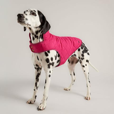 Weatherbeeta Dog Coats | Joules Quilted Dog Coat Colour Raspberry Size Small (35cm)