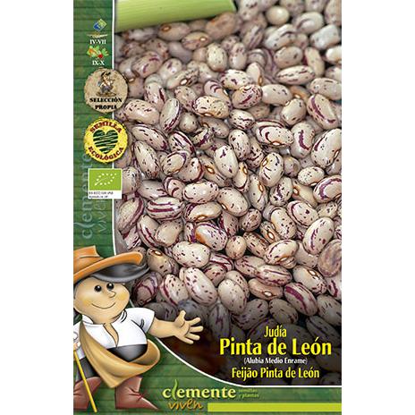 Semillas ecológicas de Alubia Pinta De Leon