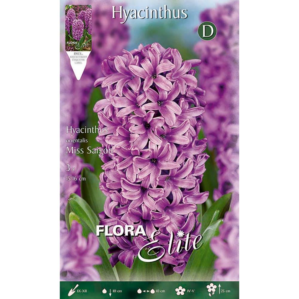 Bulbo Jacinto Oriental "Miss Saigon" Elite 3 uds.