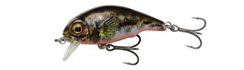 Savage Gear 3D Goby Crank SR Lure 4cm 3g Floating  | 4cm