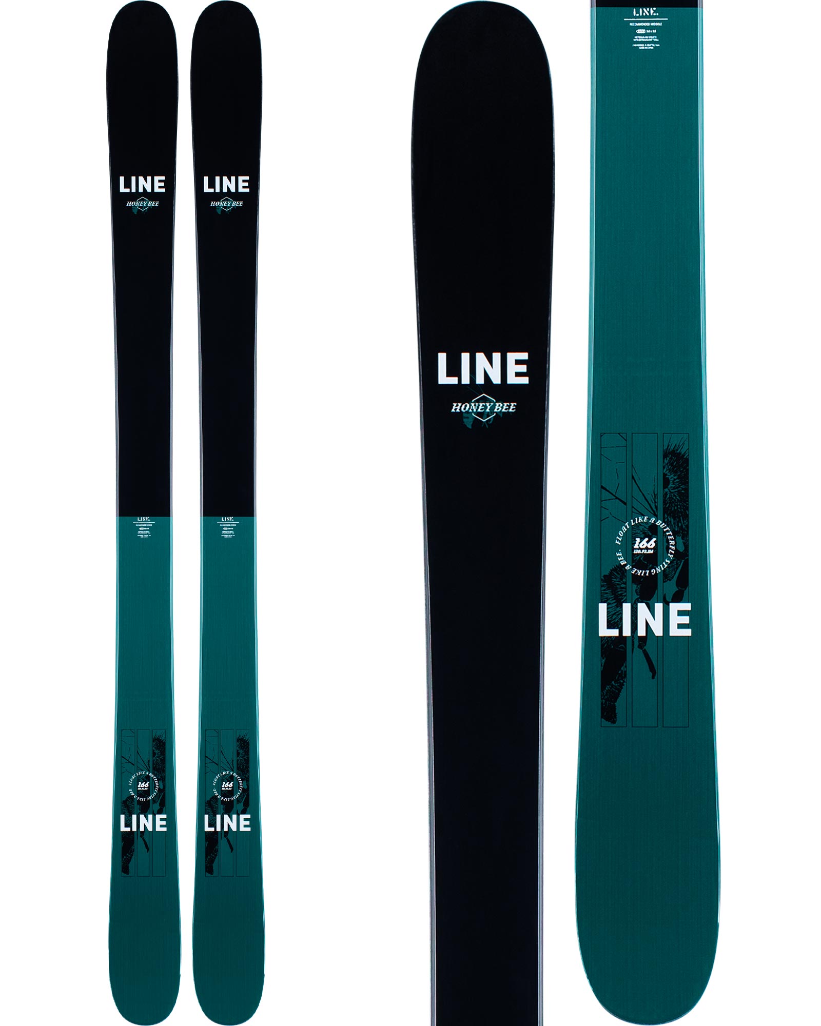 Line Honey Bee Women's Skis 2021 | 155cm