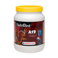  Pasta de Cria Nutribird A19 para Polluelos 800g