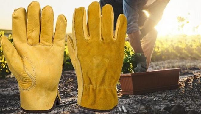 CN Direct Biz Gardening Gloves - 4 Sizes