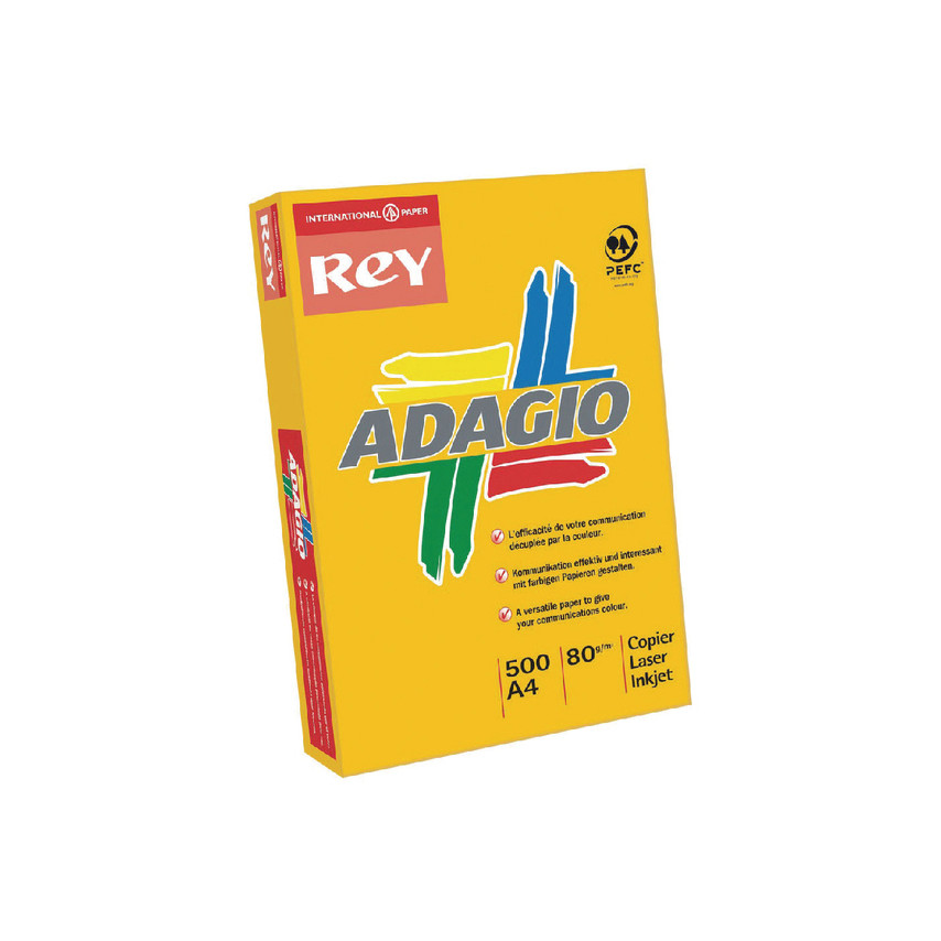 CLAIREFONTAINE  - 1713 - Ramette papier A4 160g - Couleur intense - 250 Feuilles